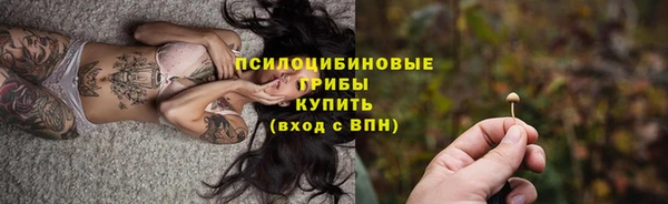 jwh Бородино