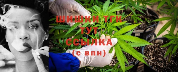 трава Бронницы