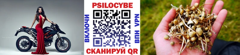 Псилоцибиновые грибы ЛСД  Пятигорск 